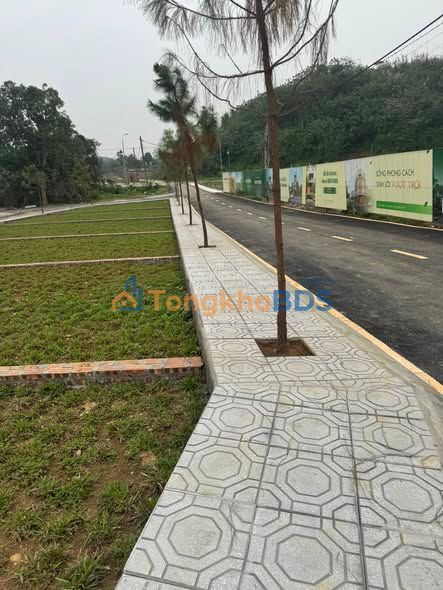 Đất nền 2 mặt tiền Hoà Thạch 100m² - Ô tô tránh, gần QL21 - Giá 2.5 tỷ