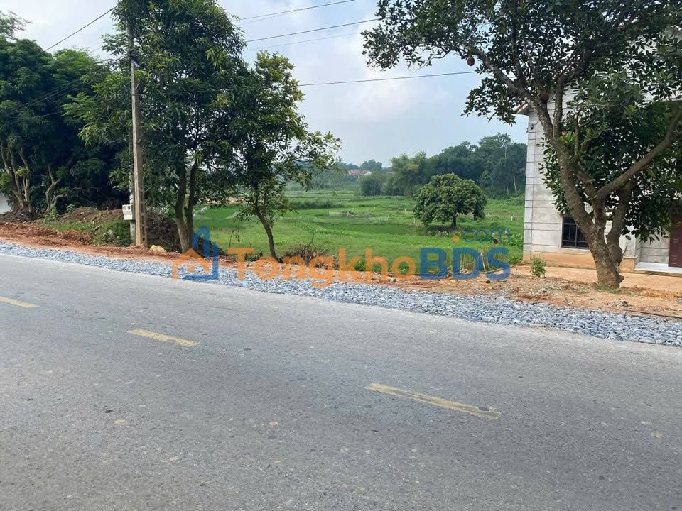 Mặt Tiền Quốc Lộ 32A, Tam Nông, Phú Thọ - 157m² Giá Đầu Tư 2 Tỷ