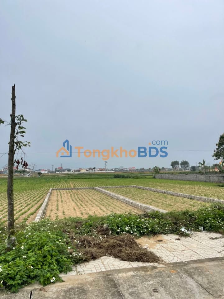 Bán Lô LK6-05 Đông Vệ, Thanh Hóa 105m² Hướng Đông - Giá 2.2 Tỷ