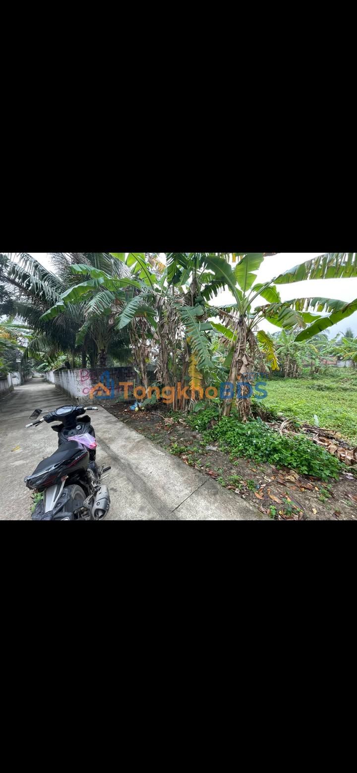 Đất nền Văn Lộc, Hậu Lộc - 604m² - Gần Vành đai - Sẵn sổ hồng