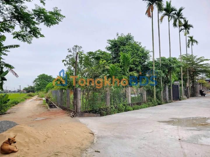 Đất Nền Lô Góc Đông Nam 331m² Thị Trấn Nam Phước - Giá Đầu Tư Chỉ 9xx Triệu