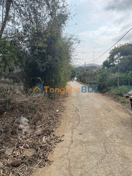 Đất Chiềng Cơi 240m² 980 triệu - Sổ đỏ chính chủ