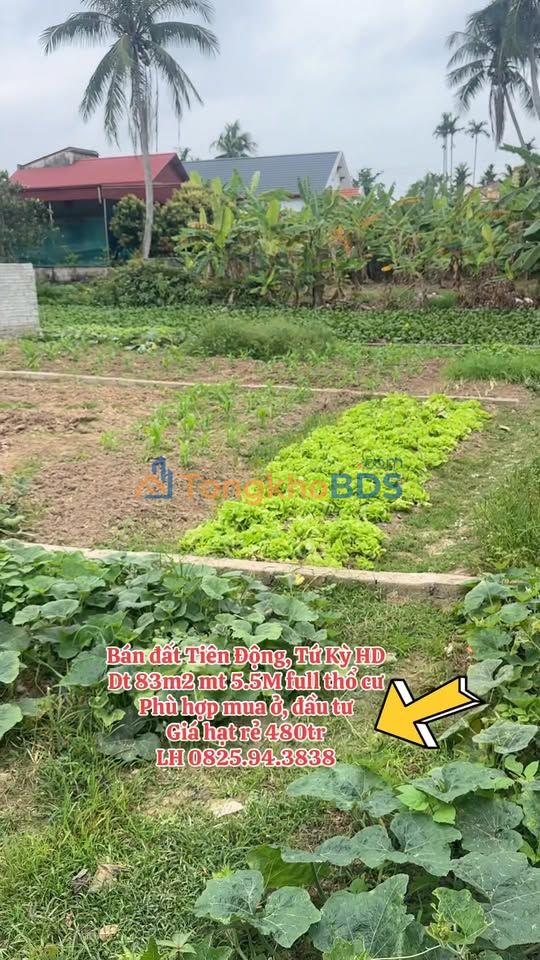 Bán Đất Thổ Cư 83m² Tứ Kỳ - Ô tô tận nơi, Giá chỉ 480 triệu