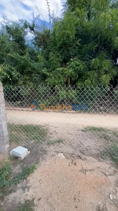 Bán Gấp 2000m² Đất Vườn Xã Phước Dinh, Thuận Nam - Giá Đầu Tư 1.2tr/m²