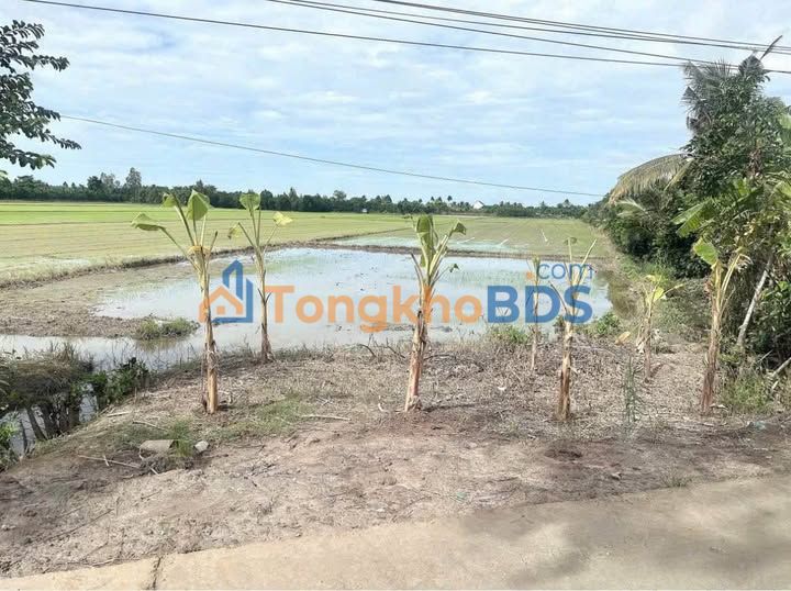 Đất Vườn Vĩnh Long 9550m² Mặt Tiền Bê Tông - Giá Đầu Tư 28.6 Tỷ