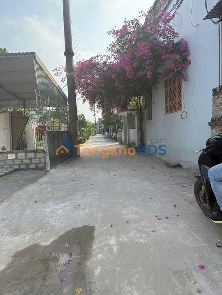 Đất Lô Góc Đại Xuyên Phú Xuyên - Kinh Doanh Đỉnh Cao 68m² - 3.38 Tỷ