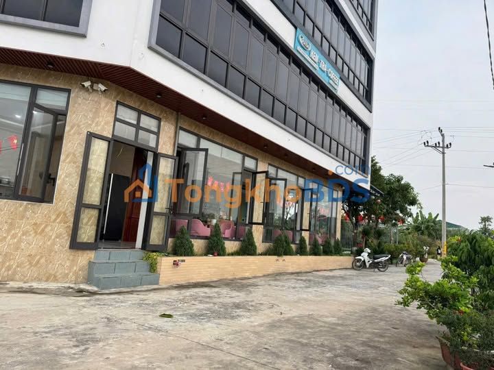 Đất Đấu Giá Thường Tín 93.5m² - Sổ Đỏ Sẵn Sàng - Gần Cienco 5