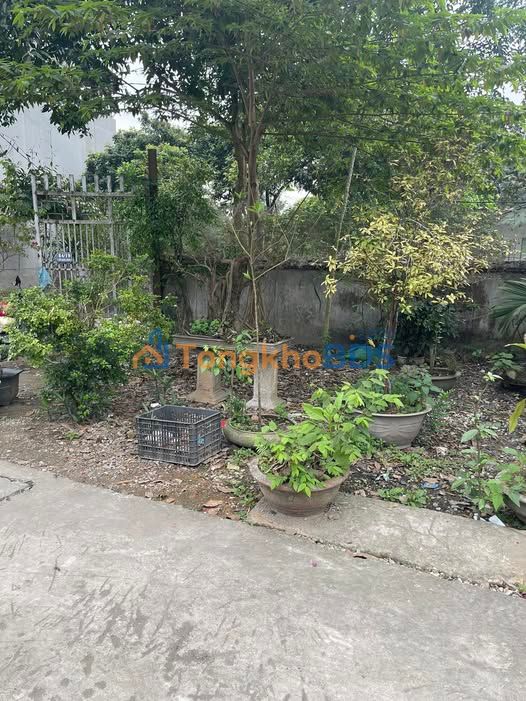 Đất nền Giang Tiên 300m² giá thỏa thuận - Đường to ô tô