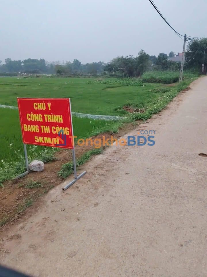 Đất Nền Ba Vì 203m² - Sổ Hồng Sẵn Sàng, Giá Đầu Tư F0