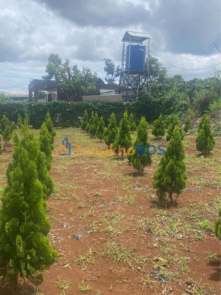 Đất Vườn Nghỉ Dưỡng 2100m² Tân Hội, Đức Trọng - View Hồ Đẹp