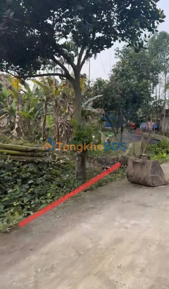 Đất nền 178.8m² T.Thái Nguyên - Giá 1.3 tỷ, gần chợ Tân Long