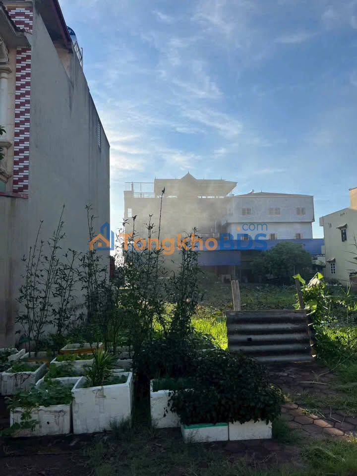 Bán đất nền 210m² Phường Gia Đông, Thuận Thành, Bắc Ninh - Sẵn sàng đầu tư, xây biệt thự