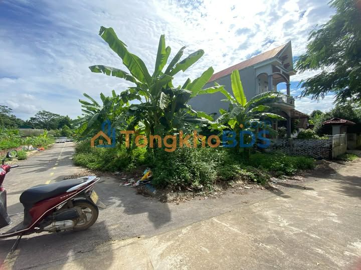 Bán Đất Lô Góc 65m² Trục Chính Tân Xã - Sẵn Sàng Đầu Tư