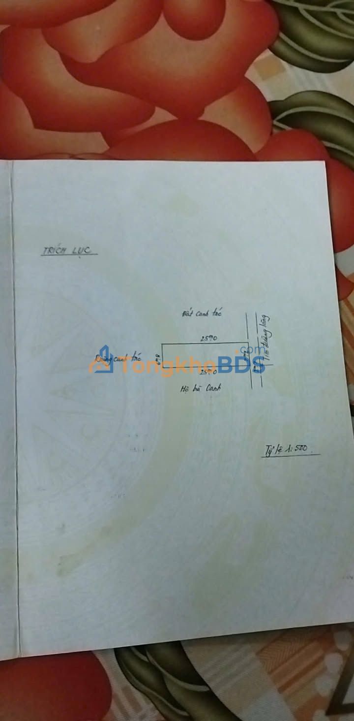 Đất nền 175m² Phường Quán Toan, Hồng Bàng - Sổ đỏ lâu năm, giá 2.45 tỷ