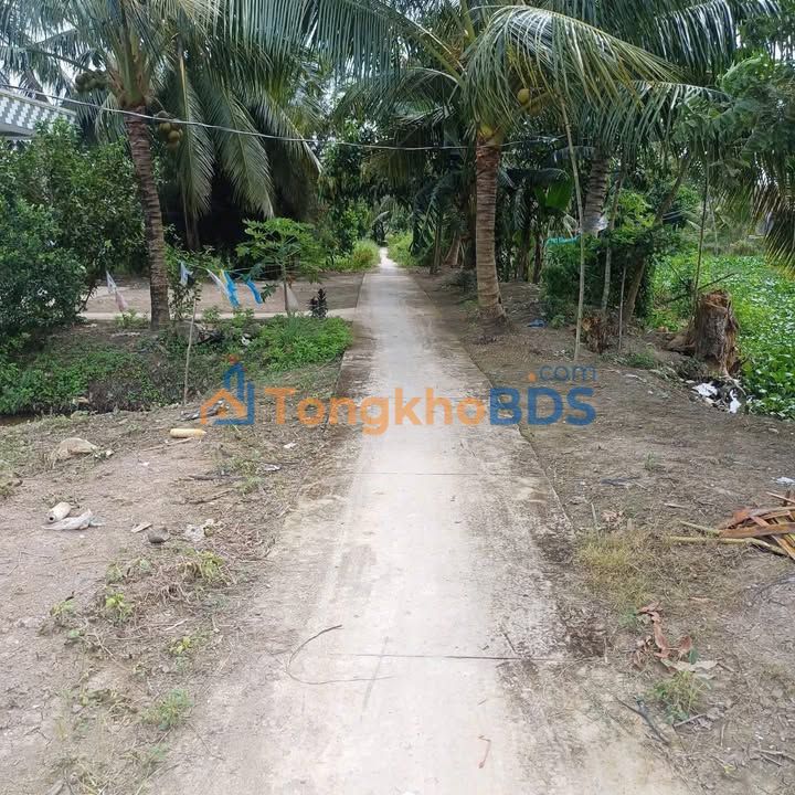 Bán Đất Vườn 20.800m² Xã Tân Hạnh, Long Hồ - Giá Đầu Tư 46.8 Tỷ