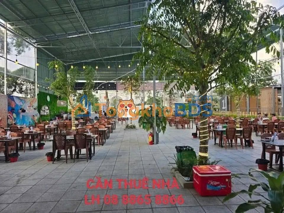 Nhà phố 3 Tháng 2 Ninh Kiều 3000m² 250tr/tháng - Mặt tiền kinh doanh