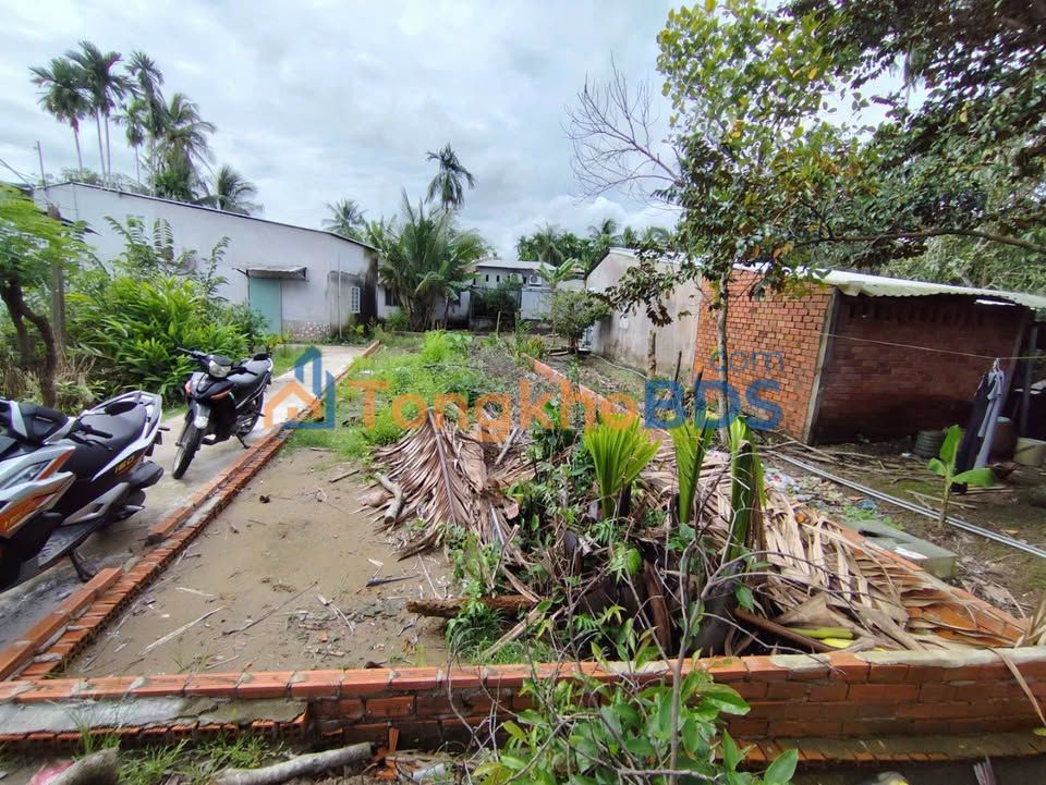 Bán Nền Cần Thơ 99.5m² Giá 269 Triệu - Sẵn Sàng Xây Dựng