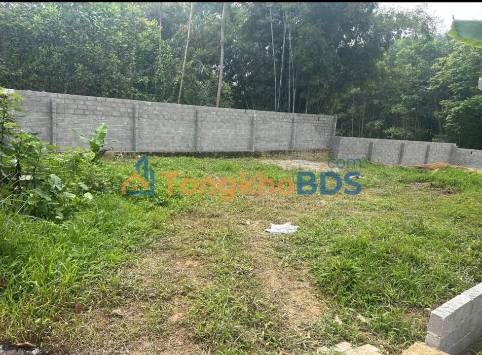 Đất nền Đồng Bẩm, Thái Nguyên - 238m² vuông vắn, tiềm năng tăng giá tốt