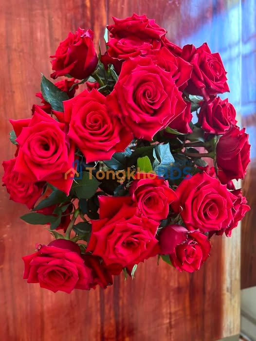 Đất Lan Anh 2 Hoà Long 100m² 950 triệu - Sổ đỏ chính chủ