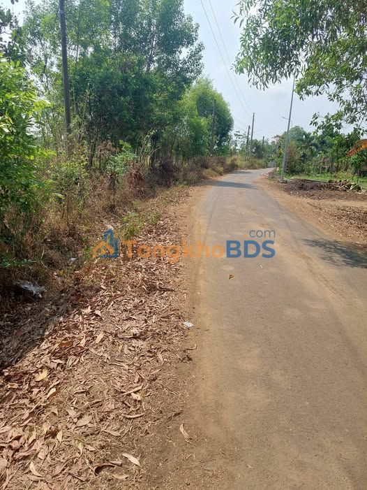 Bán Đất Mặt Tiền Nhựa Xã Phước Tỉnh 4144m² - Sổ Hồng Sẵn Sàng