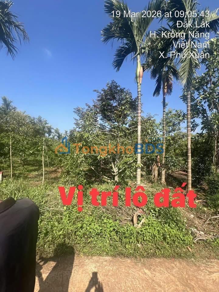Đất nền Phú Xuân, Đắk Lắk 374m² - Giá 800 triệu, Sẵn Vườn Sầu Riêng