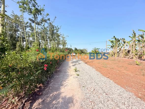 Đất nền Xuân Sơn, Châu Đức 275m² sổ đỏ - Giá 520 triệu, công chứng nhanh