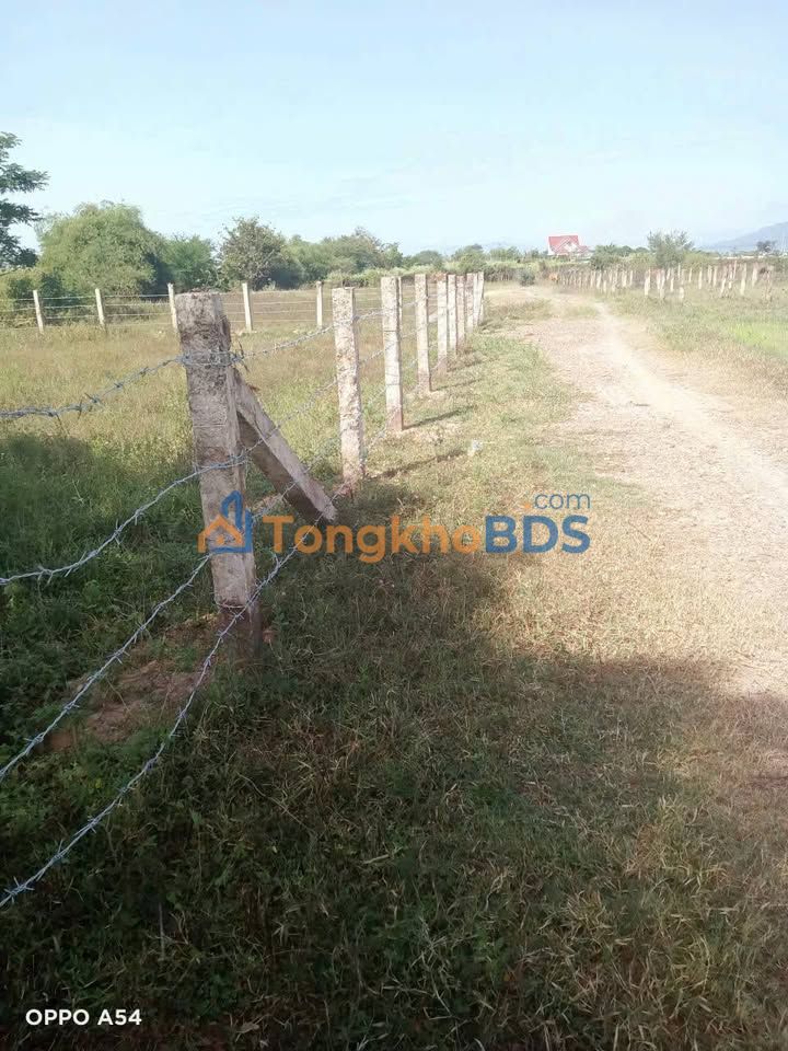 Đất Nông Nghiệp Hàm Liêm 800m² - Sổ Riêng, Quy Hoạch Thổ Cư