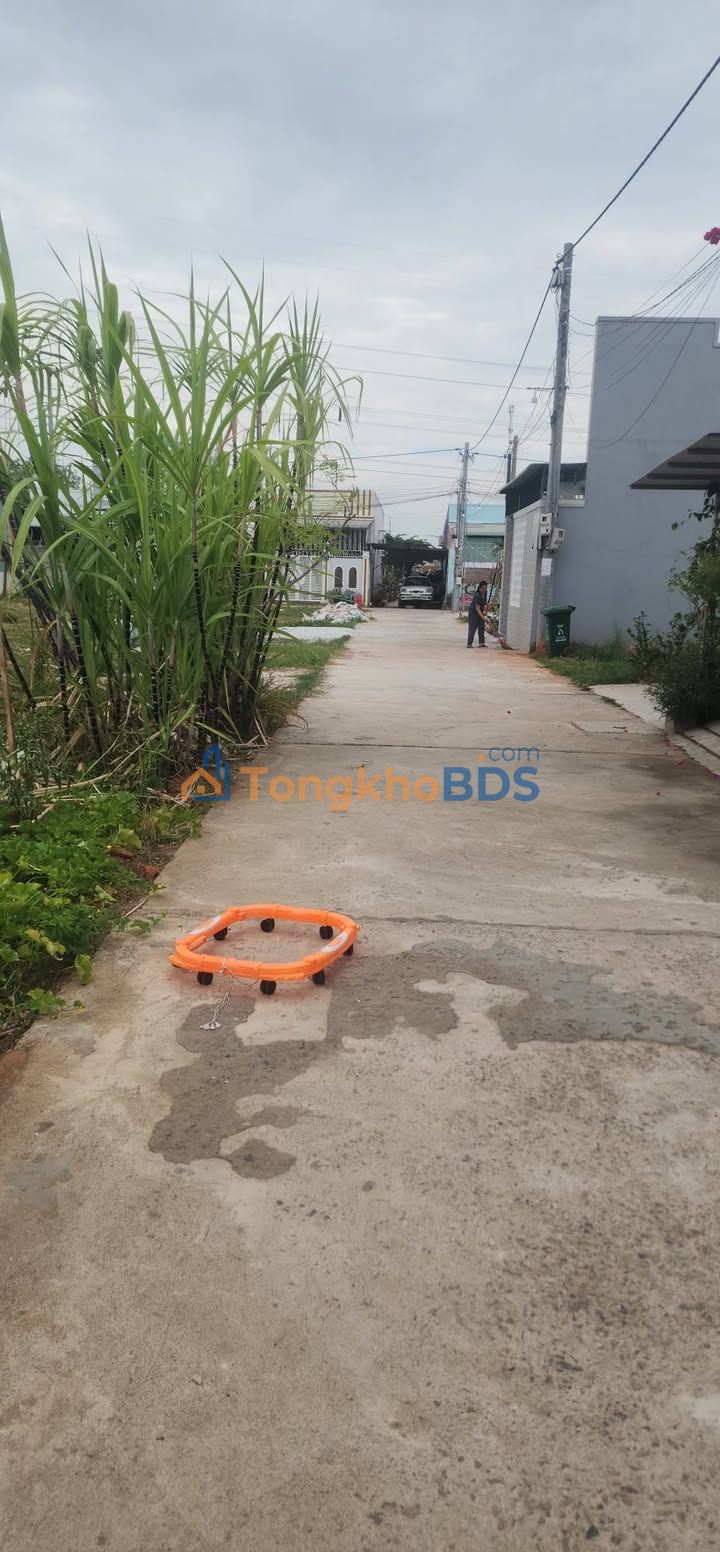 Đất Nền 124m² Hàm Thắng, Phan Thiết - Sổ Đỏ Sẵn Sàng, Giá 750 Triệu