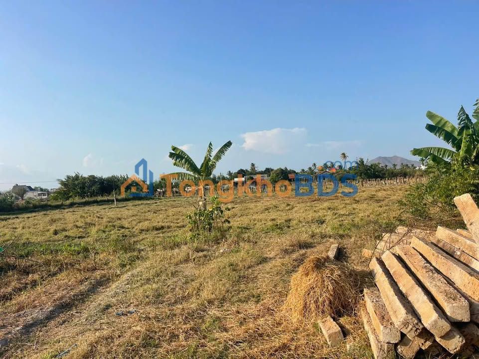 Đất thổ cư 1300m² Phường Hàm Thắng - Giá 390 triệu, Đón đầu quy hoạch