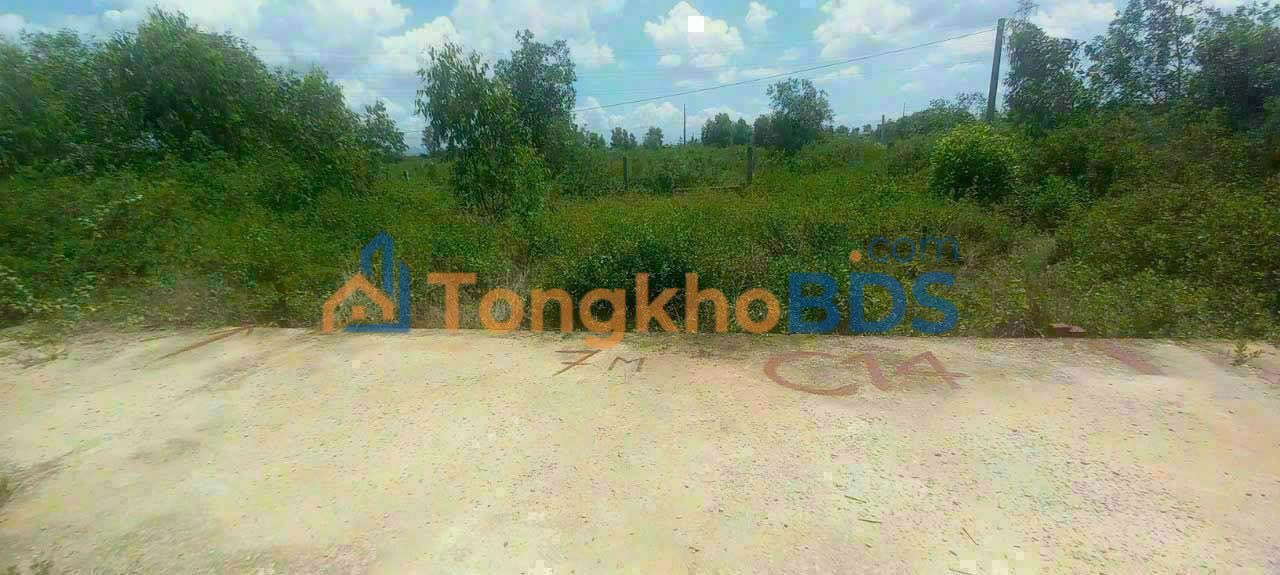 Bán Đất Nền KDC Cá Đồng, Đức Linh 102.3m² - Sổ Đỏ Sẵn Sàng