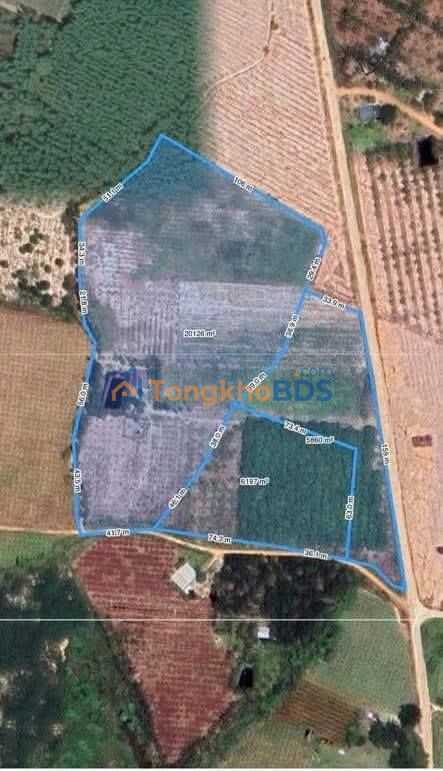 Bán Đất Nền 3.2ha Tân Tiến La Gi - 2 Mặt Tiền Nhựa, Giá 16.5 Tỷ