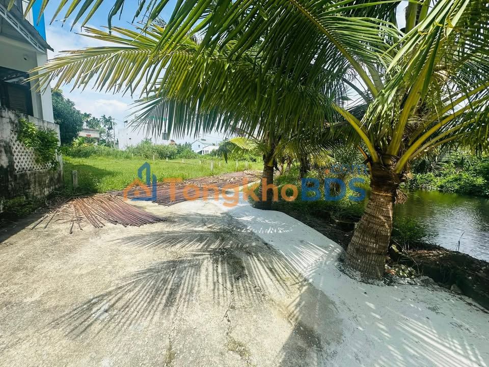 Đất nền Cẩm Thanh Hội An 100m² - Sẵn sàng xây homestay, villa nghỉ dưỡng