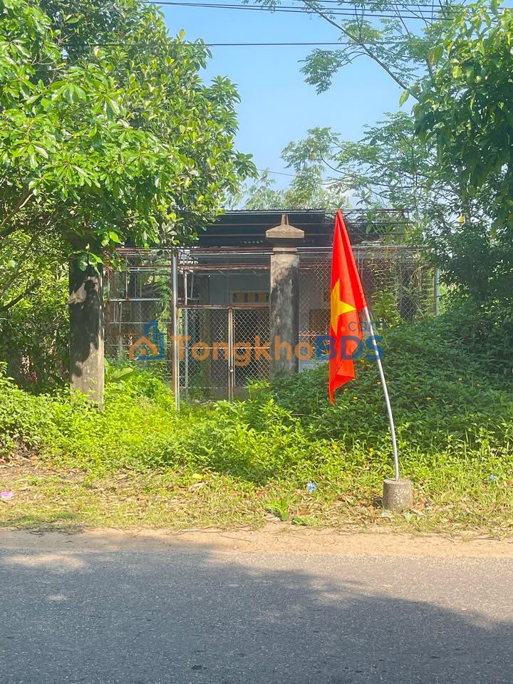 Đất Mặt Tiền DT610 Quảng Nam Tặng Nhà Cấp 4 - 185.5m²