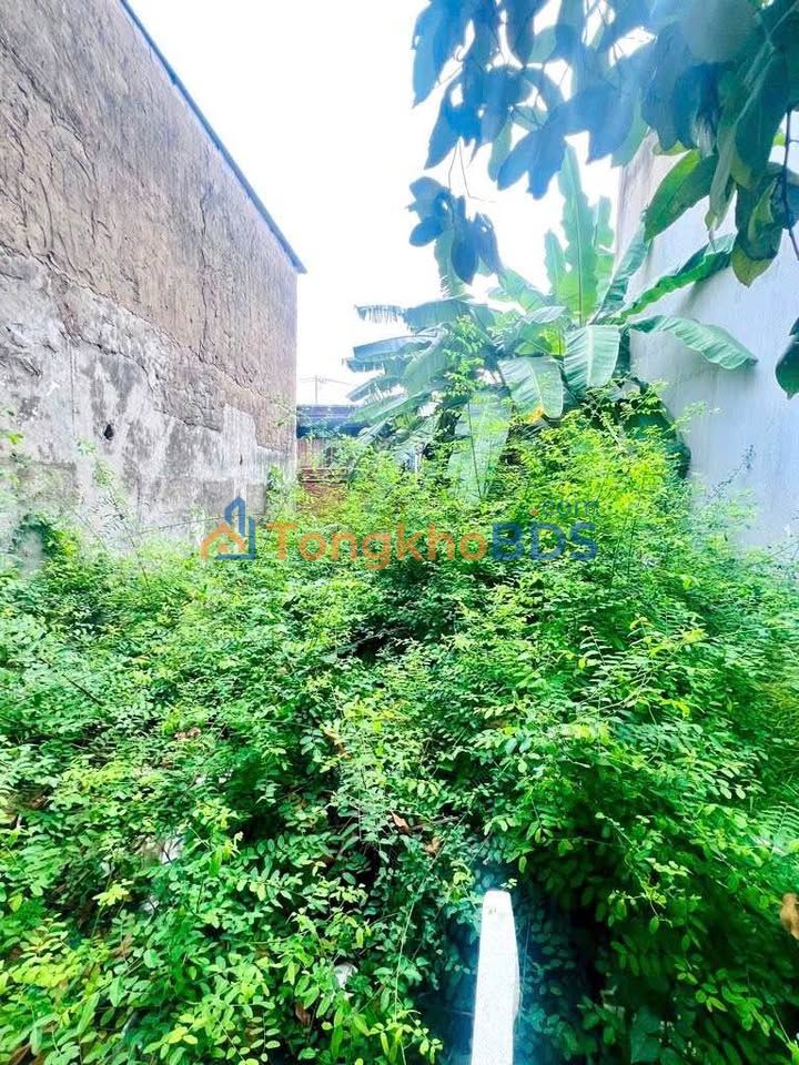 Đất Phú Mỹ Quận 7 66m² giá 3,9 tỷ - Sổ hồng chính chủ