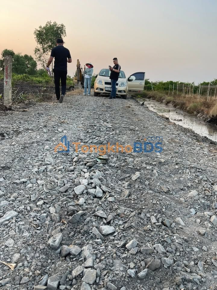 Đất Vườn Xoài Cát Hòa Lộc 1000m² Sổ Hồng Riêng - Tân Thành, Thủ Thừa