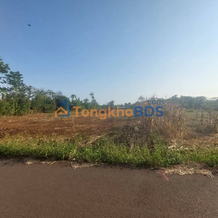 Đất nền Xã Xà Bang 6.500m² giá 8.125 tỷ - Sổ đỏ chính chủ