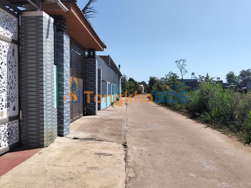 Đất Nền Hẻm Lý Thường Kiệt - Quy Nhơn: 135m² Thổ Cư, Giá 6xx Triệu
