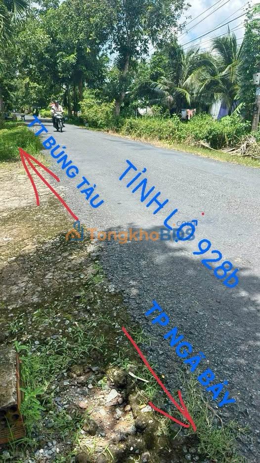 Bán Gấp Đất Vườn 3178m² Cần Thơ - Mặt Tiền 20m, Sổ Hồng Riêng