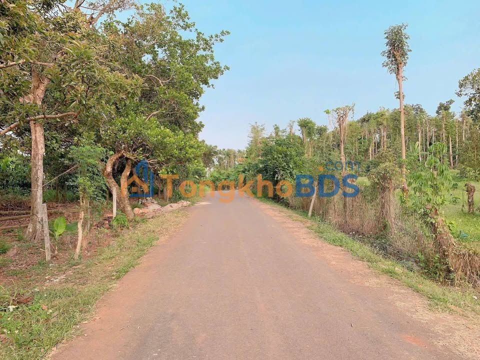 Đất nền Châu Đức 4.548m² thỏa thuận - Đường to ô tô