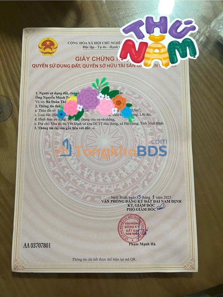 Đất KDT Yên Định, Nam Định - 100m² Hướng Nam, Sổ Đỏ Rõ Ràng