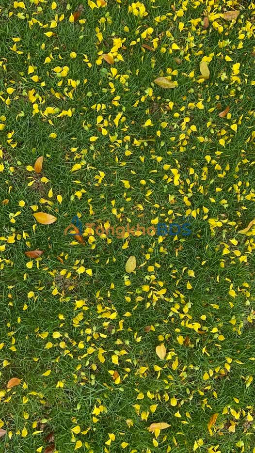 Nhà Ngõ Cổ Bi 36m² 4 Tỷ - Sẵn Sàng Vào Ở Ngay