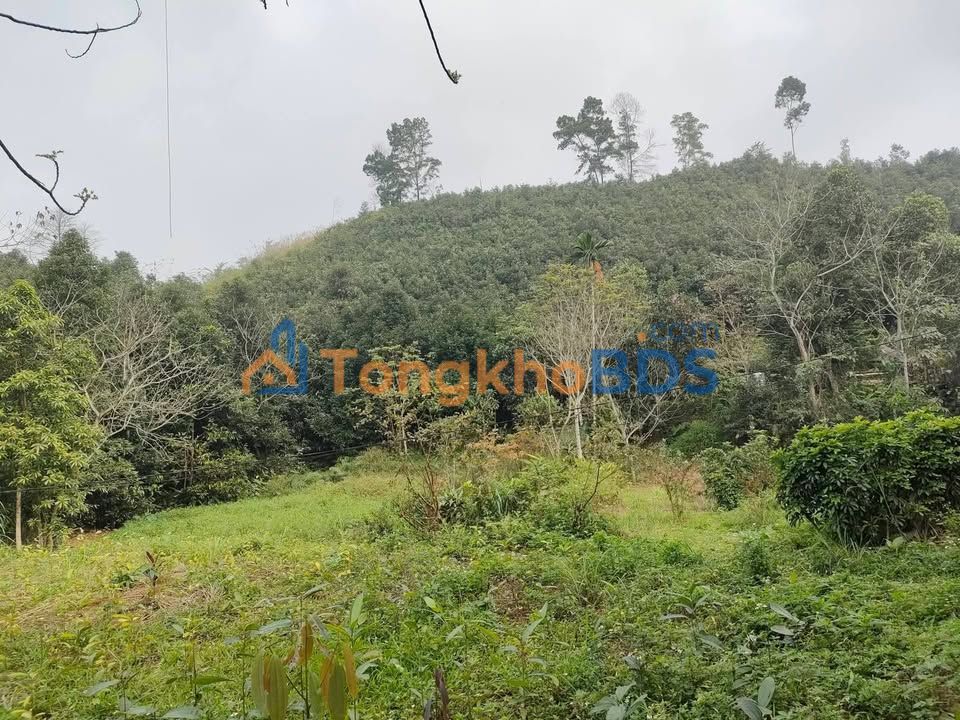 Bán Đất Vàng 6429m² Phường Văn Phú, Yên Bái - Tiềm Năng Xây Biệt Thự/Trang Trại