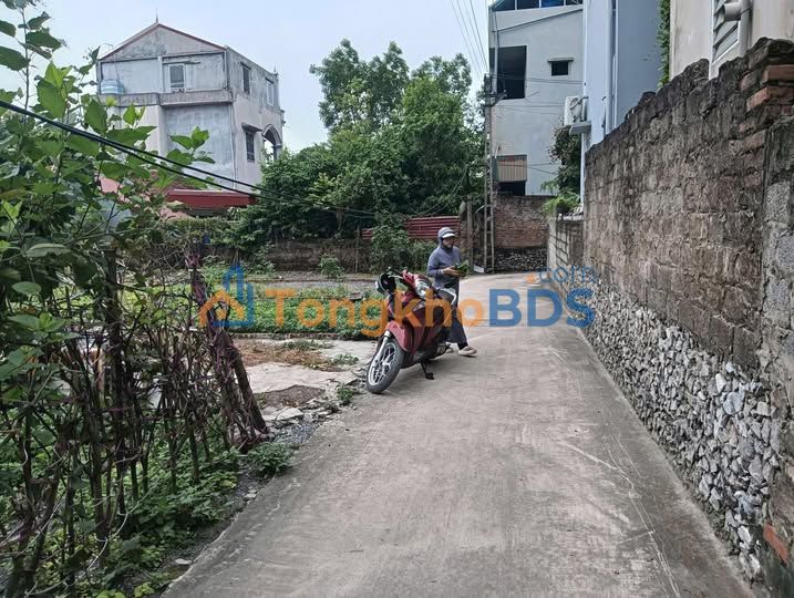 Bán Đất Nền Hội Xá, Mỹ Đức, Hà Nội - 95m², Giá Hơn 1 Tỷ, Sổ Đỏ