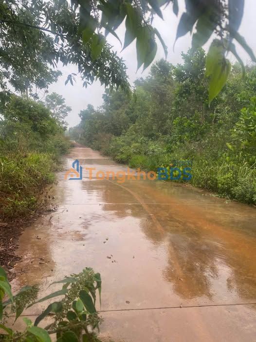 Đất nền Gia Nghĩa 500m² 850 triệu - Hạ tầng hoàn thiện