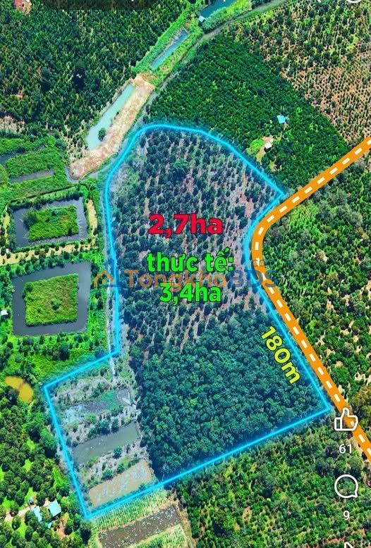Farm Nhân Cơ Đắk Nông 34.000m² 5.5 tỷ - Sổ đỏ chính chủ