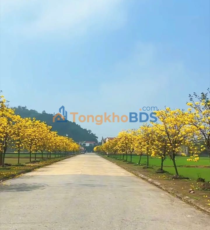 Đất Nền Sun Hoàng Thành Thăng Long - 126m² - Hơn 1 Tỷ - Sổ Đỏ Sẵn