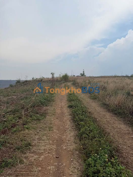 Bán Đất Nông Nghiệp 20ha Đắk Mil, Đắk Nông - Giá Tốt Đầu Tư