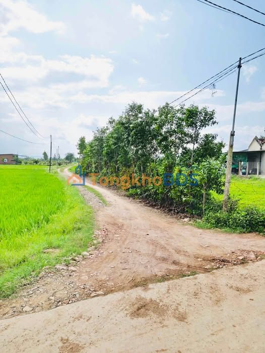 Đất nền Ninh An Ninh Hòa 85m² 2xx triệu - Sổ đỏ chính chủ