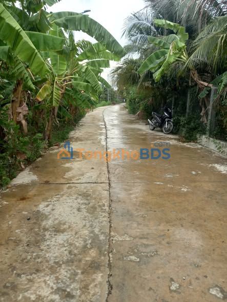 Bán Đất 2 Mặt Tiền Phường Ninh Hòa, 1507m² - Sẵn Nhà Vườn, Giá 7.8 Tỷ