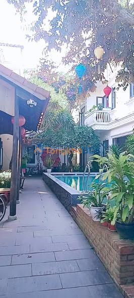 Townhouse Cẩm Thanh, Hội An 475m² - Dòng Tiền 50 Triệu/Tháng